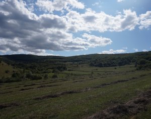 Telek eladó on Tauti