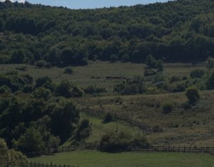 Telek eladó on Tauti