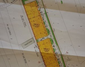 Telek eladó on Sannicoara