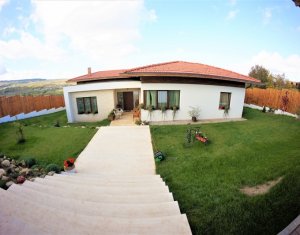 , 222m2 dans Cluj-napoca, zone Borhanci