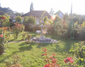 Ház 4 szobák eladó on Moldovenesti