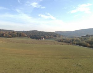 Lakás 3 szobák eladó on Floresti