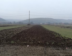 , 6350m2 on Luna De Sus