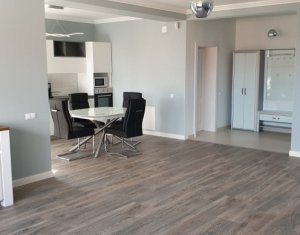 Ház 5 szobák kiadó on Cluj-napoca, Zóna Andrei Muresanu