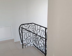 Ház 5 szobák kiadó on Cluj-napoca, Zóna Andrei Muresanu