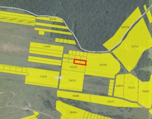 , 1170m2 on Floresti