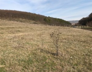 , 1000m2 on Floresti