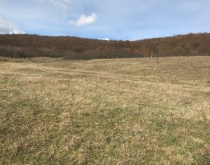 Telek eladó on Floresti