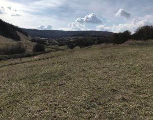 Telek eladó on Floresti