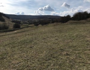 Telek eladó on Floresti