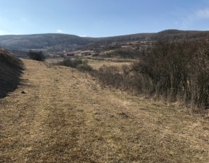 Telek eladó on Floresti