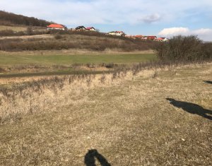 Telek eladó on Floresti