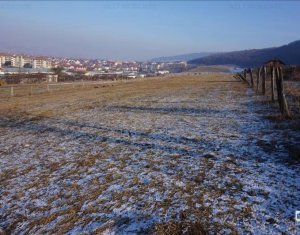 Telek eladó on Floresti