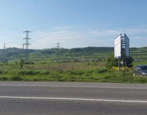 , 5000m2 on Floresti