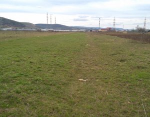 , 2900m2 on Floresti