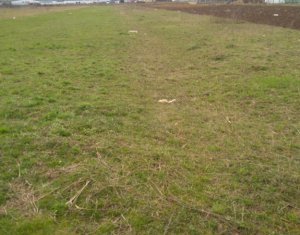 Telek eladó on Floresti