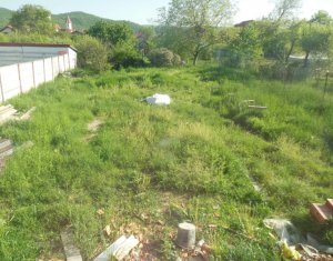 Ház 5 szobák eladó on Floresti