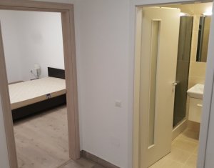 Appartement 2 chambres à louer dans Cluj-napoca, zone Buna Ziua