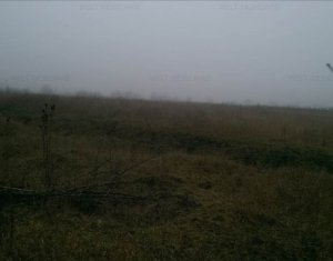 Telek eladó on Cluj-napoca, Zóna Apahida