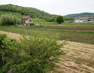 Ház 5 szobák eladó on Luna De Sus