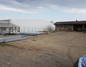 Telek kiadó on Cluj-napoca, Zóna Baciu