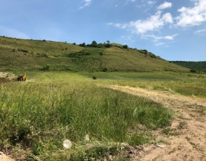 , 3500m2 on Floresti