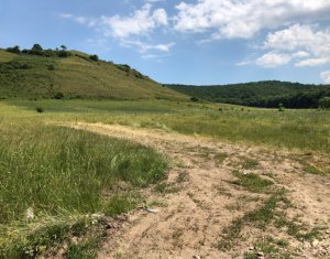 Telek eladó on Floresti