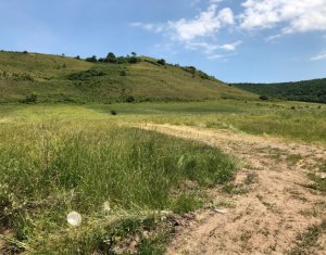 Telek eladó on Floresti