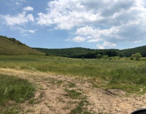 Telek eladó on Floresti