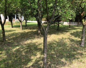 Ház 5 szobák eladó on Floresti