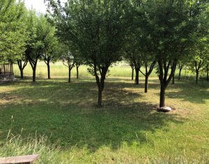 Ház 5 szobák eladó on Floresti