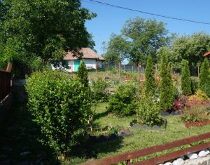 Ház 4 szobák eladó on Comsesti