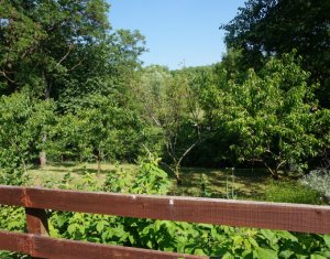 Ház 4 szobák eladó on Comsesti