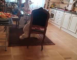 Appartement 2 chambres à vendre dans Cluj-napoca, zone Gheorgheni