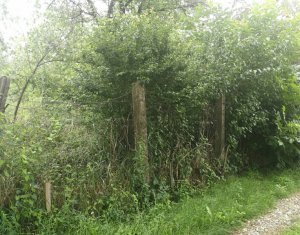 Telek eladó on Cluj-napoca, Zóna Dambul Rotund