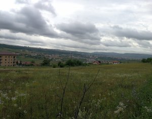 , 3000m2 on Cluj-napoca, Zóna Borhanci