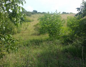 Telek eladó on Dezmir