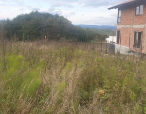 , 764m2 on Cluj-napoca, Zóna Faget