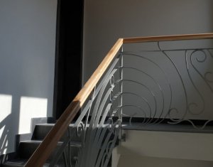 Ház 12 szobák eladó on Cluj-napoca, Zóna Andrei Muresanu