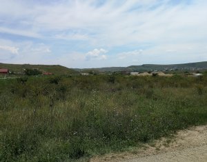 , 7400m2 on Cluj-napoca