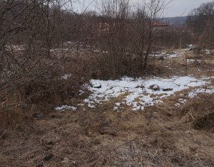 , 4169m2 on Cluj-napoca, Zóna Faget