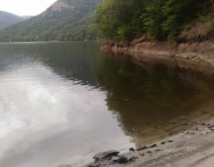 Telek eladó on Tarnita