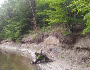 Telek eladó on Tarnita