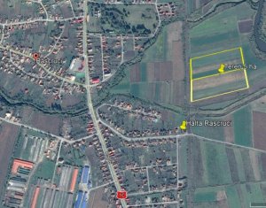 , 11400m2 on Rascruci