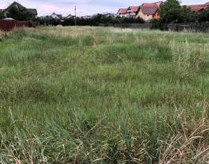 , 3000m2 on Floresti