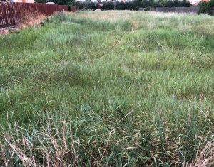 Telek eladó on Floresti