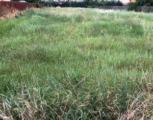 Telek eladó on Floresti