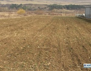 , 3000m2 on Floresti