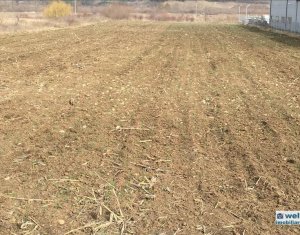 Telek eladó on Floresti