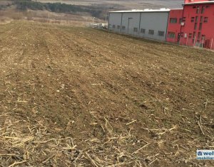 Telek eladó on Floresti